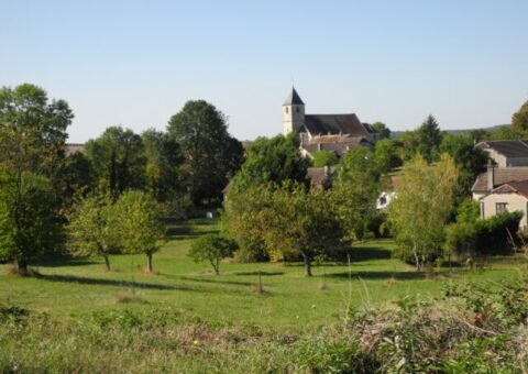 Mon village, espace de biodiversité