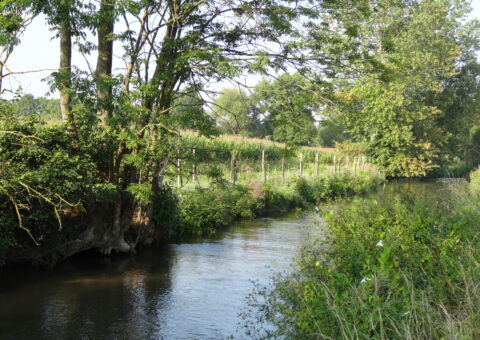 Préserver et reconquérir la qualité des ressources en eau dans les aires d’alimentation des captages