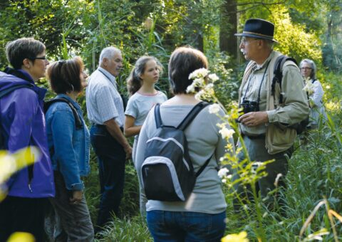 Sorties nature à destination du public familial et adulte