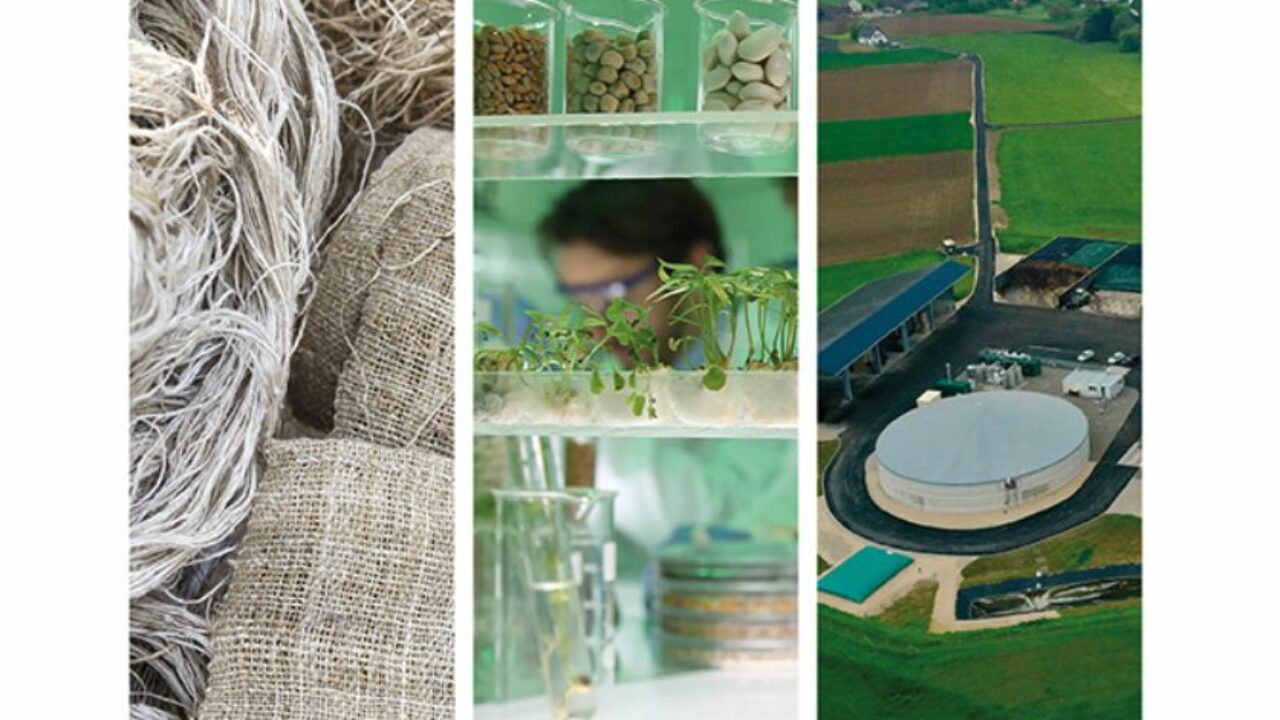 Le Mois de la bioéconomie en Grand Est