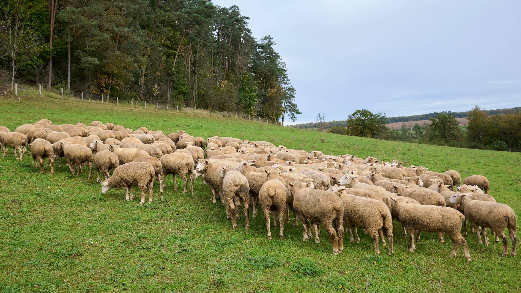 9,5 millions d’euros pour soutenir les agriculteurs
