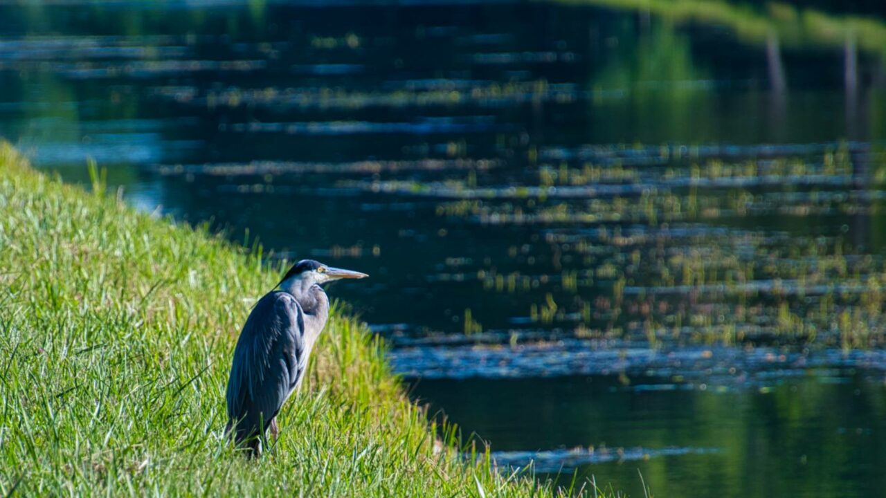 Création d’un Observatoire Régional de l’Eau