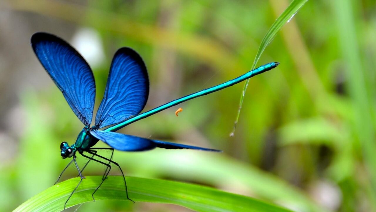 Commune Nature, pourquoi pas vous ?