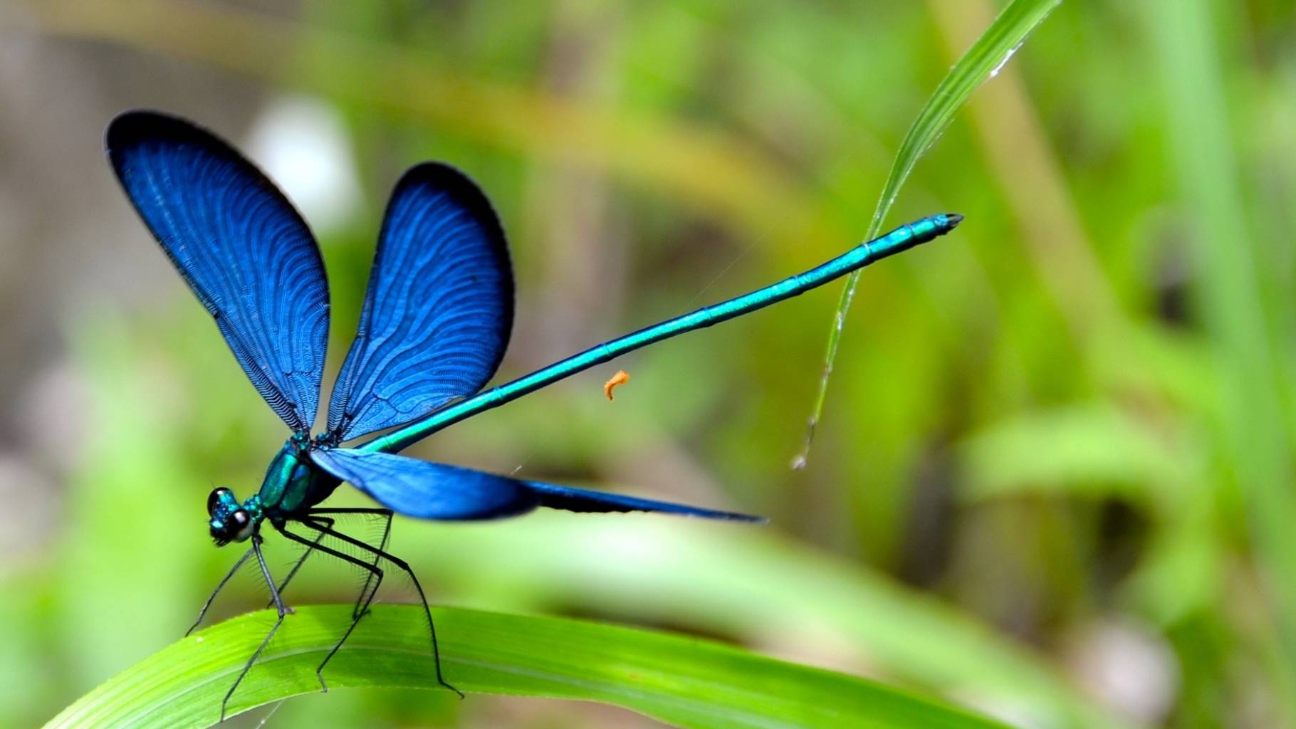 Commune Nature, pourquoi pas vous ?