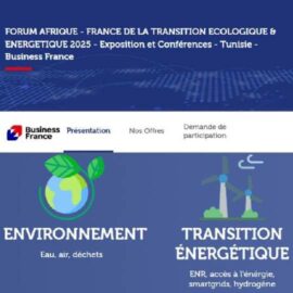 Forum AFRIQUE FRANCE de la Transition Ecologique et Energétique