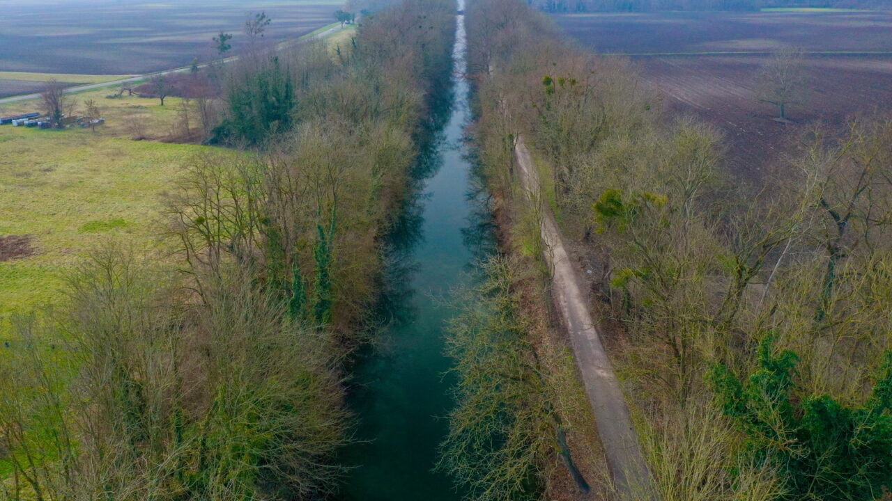 Canal vers Artzenheim (68)