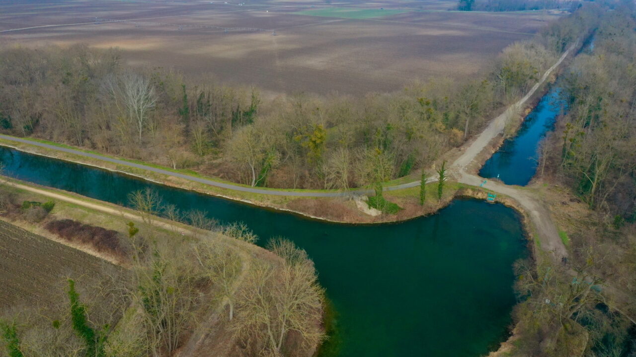 Canal vers Artzenheim (68)