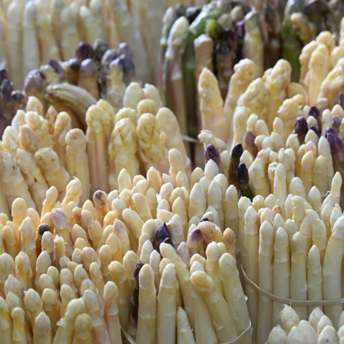 Asperges : la saison bat son plein