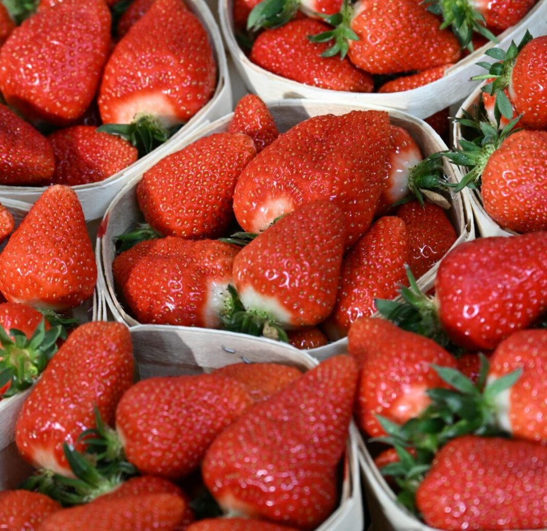 Fraises locales, au rendez-vous !