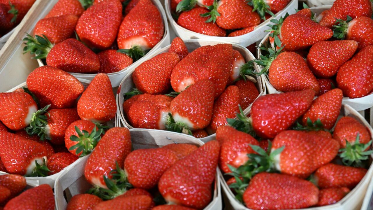 1820X1024Fraises