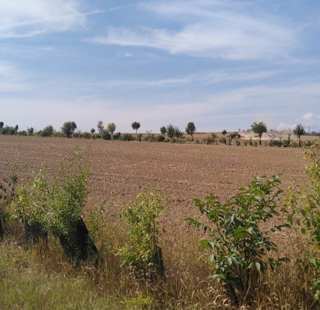 Haies et biodiversité : la Région renforce son engagement