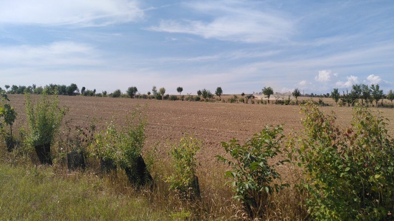 Haies et biodiversité : la Région renforce son engagement