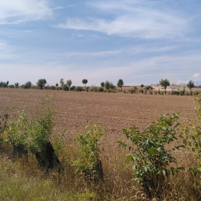 Haies et biodiversité : la Région renforce son engagement