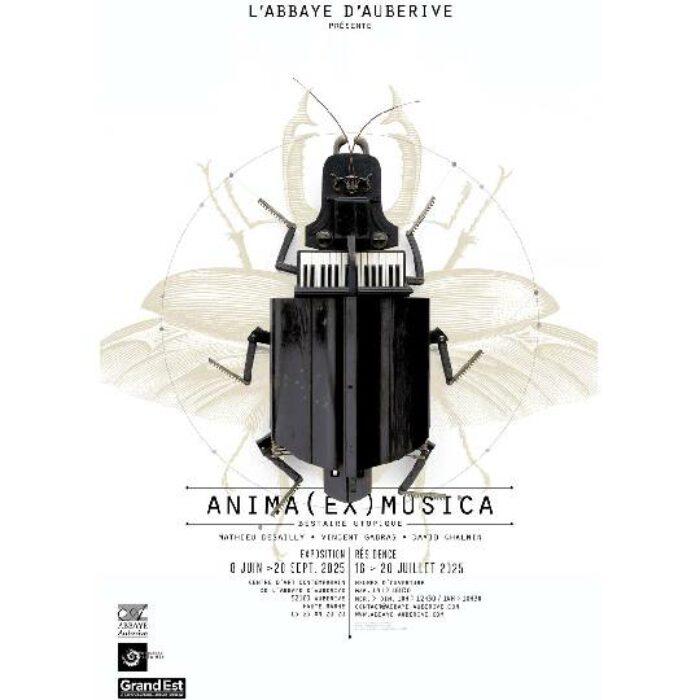 Exposition Anima Ex Musica