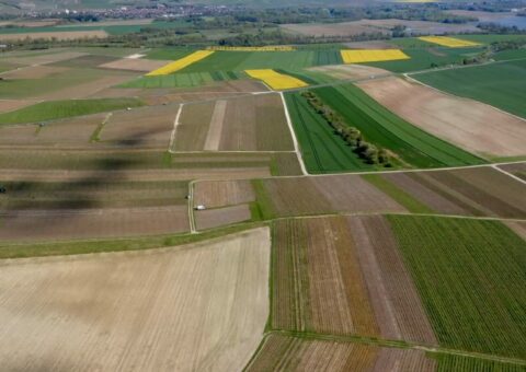 IPAGE – Végétal 2025
