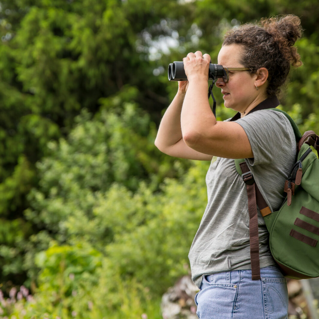 Biodiv’Map Grand Est : connaître et agir