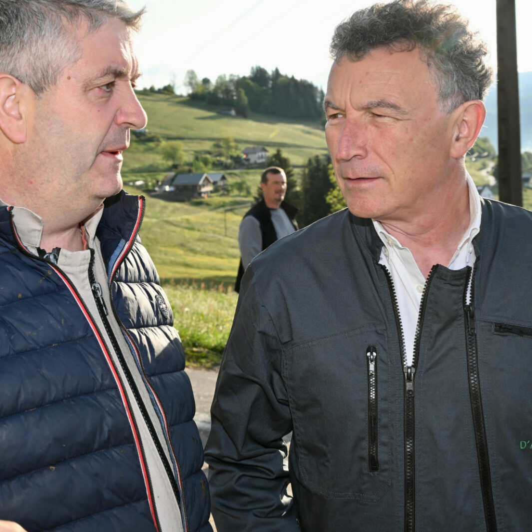 Rencontres dans les Vosges
