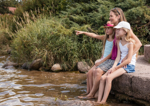 AMI Soutien aux filières favorables à la protection de la ressource en eau