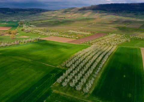 FEADER Infrastructures agro-écologiques 2025