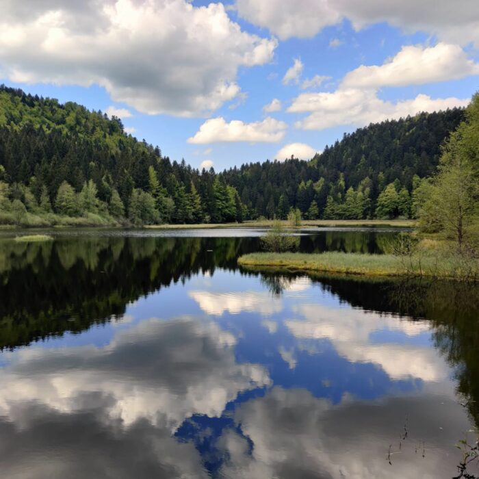 Biodiversité : alliance inédite entre mécènes et acteurs du territoire