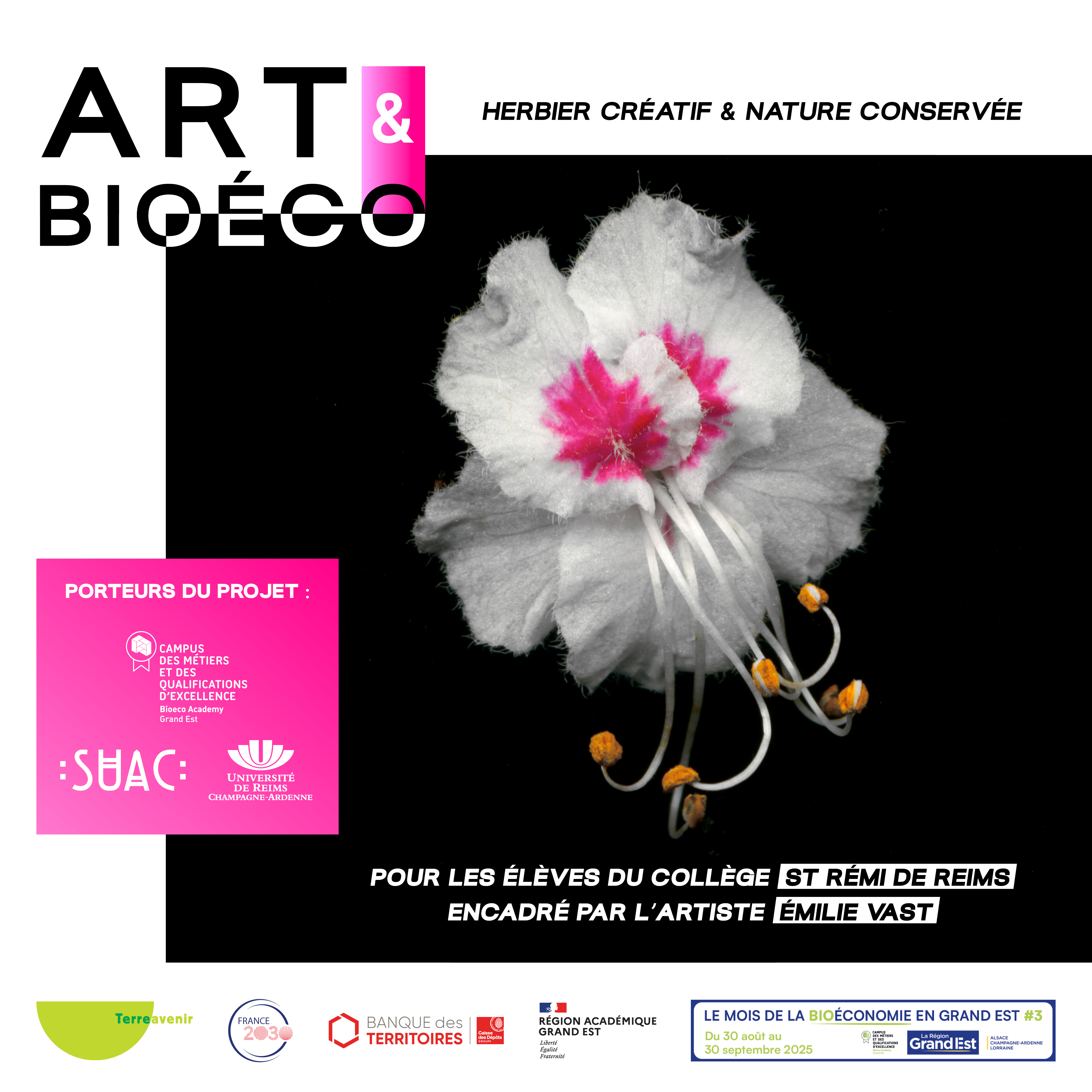 Art & Bioeco