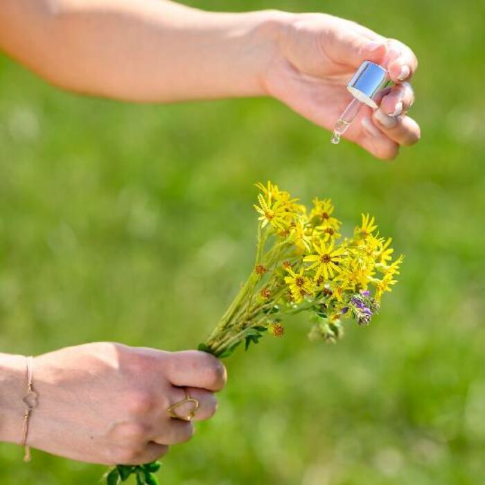 Le mois de la bioéconomie