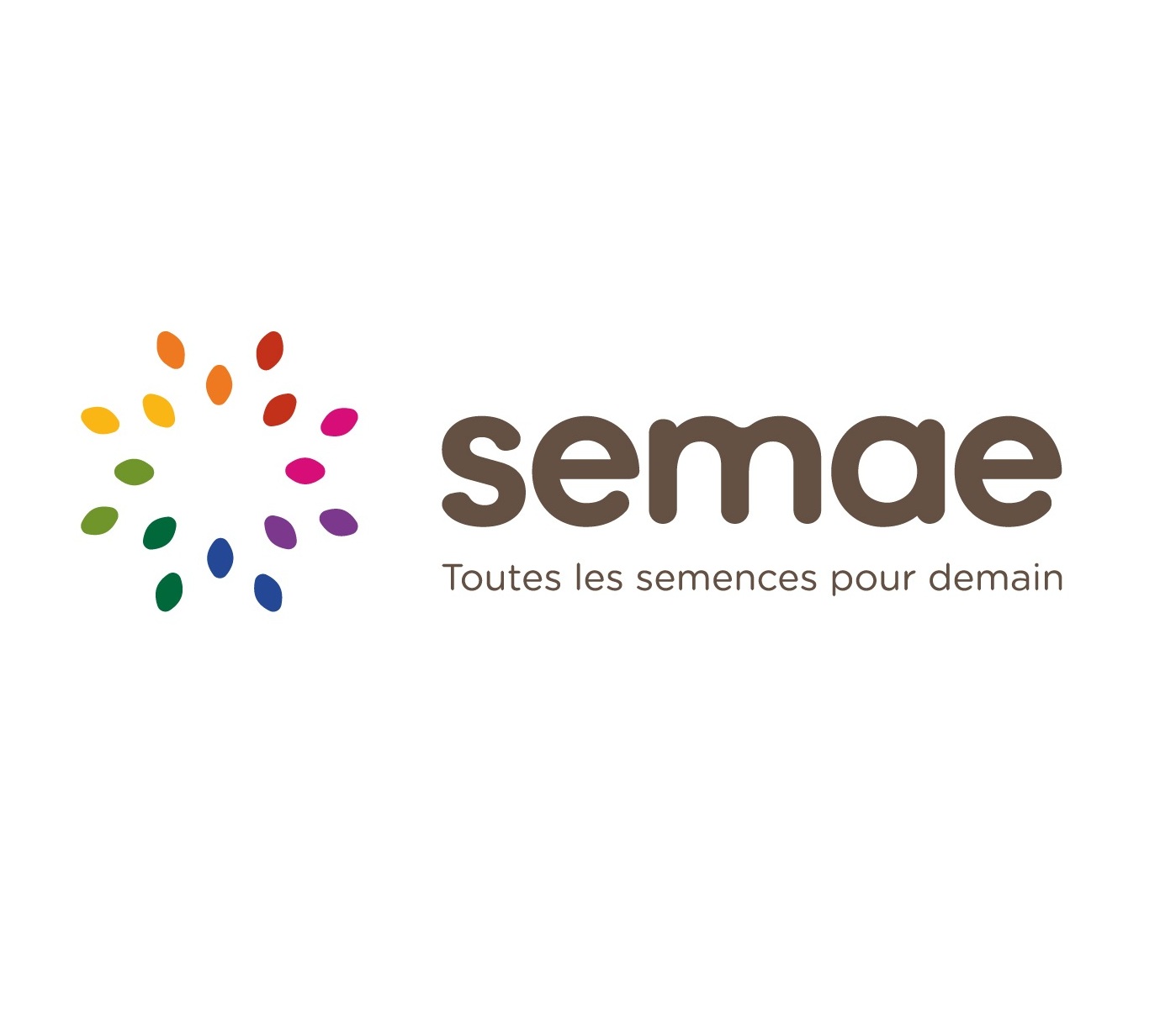 La filière semences et plants dans le Grand Est : des métiers très variés à découvrir