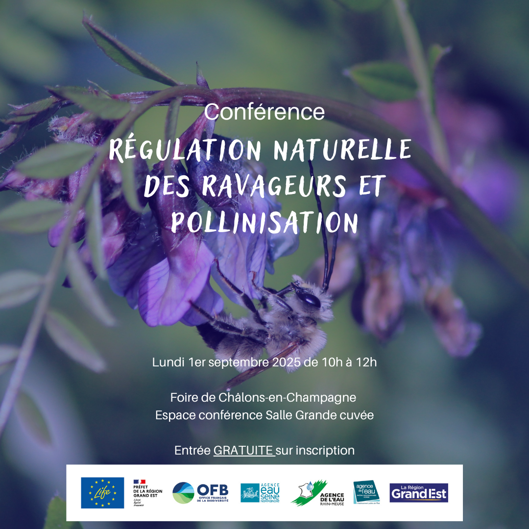 Conférence Régulation naturelle des ravageurs et pollinisation : la biodiversité au service de la production agricole