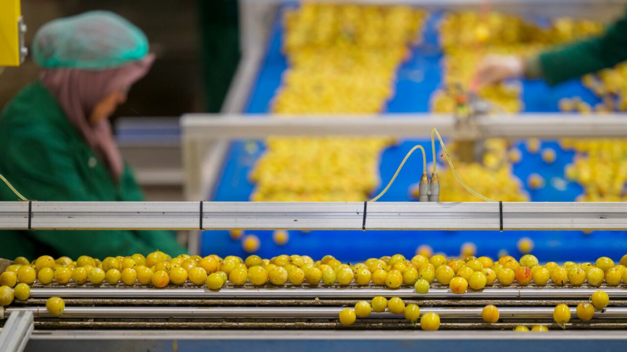 mirabelles1
