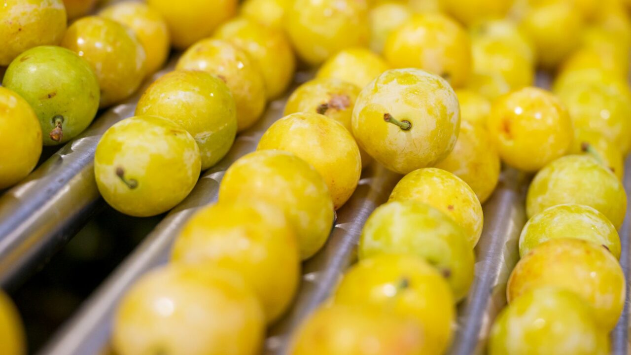 mirabelles2