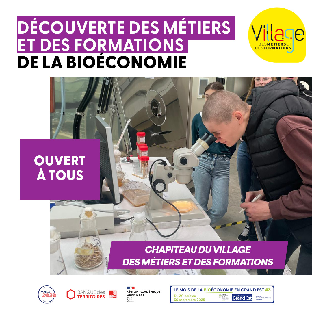 Découverte des métiers et des formations de la bioéconomie