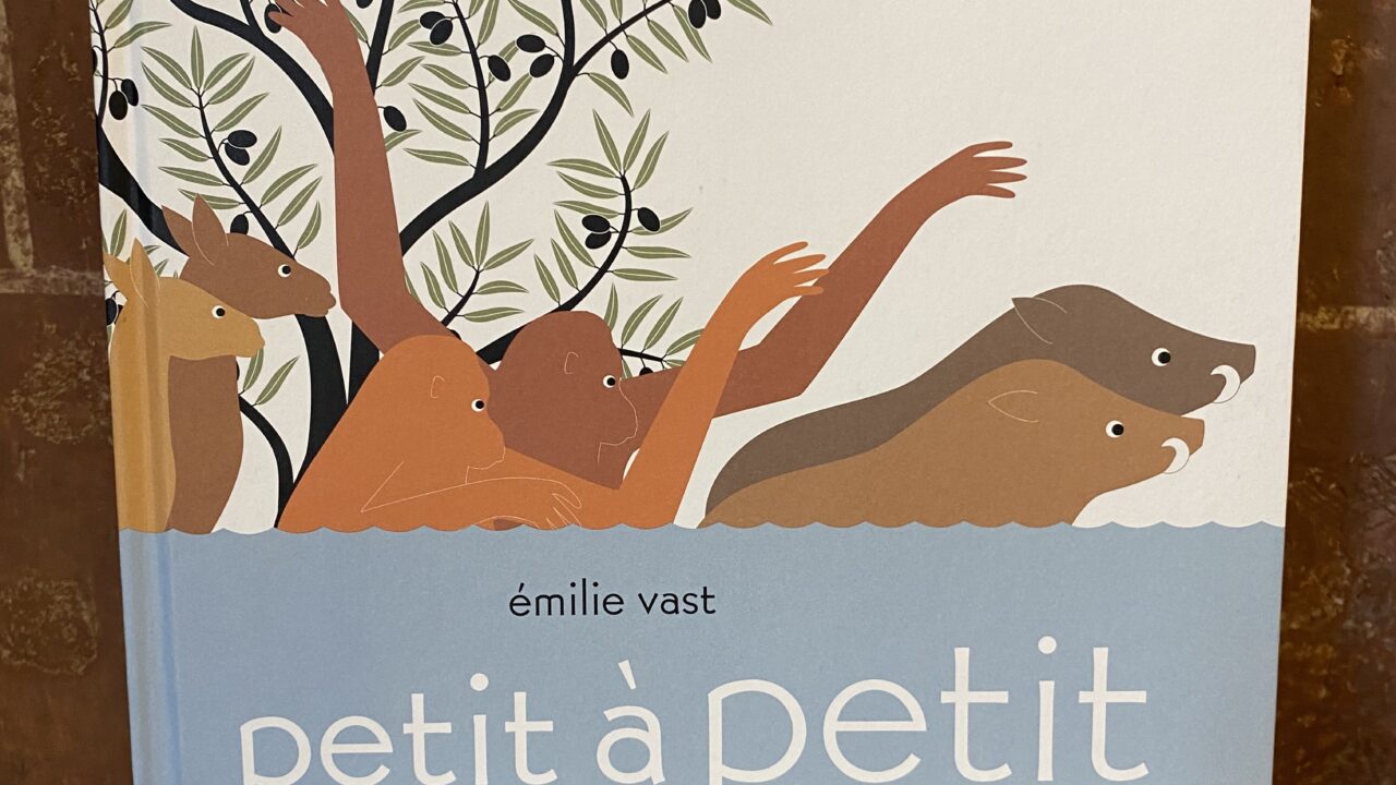 Petit à petit