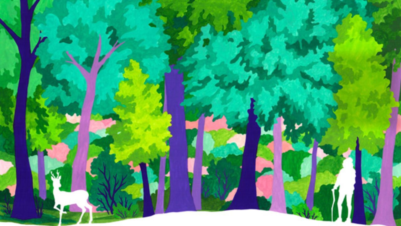 Donnez votre avis sur la nouvelle charte du Parc naturel régional de la Forêt d’Orient !