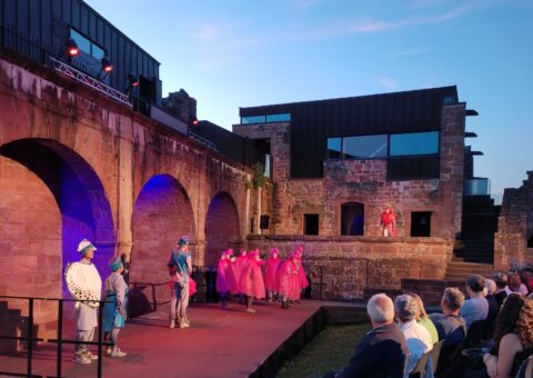 Soutien au spectacle vivant en langues régionales