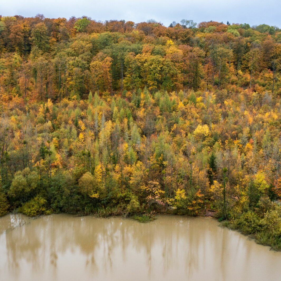 Une gestion durable des forêts : accompagner les propriétaires forestiers privés