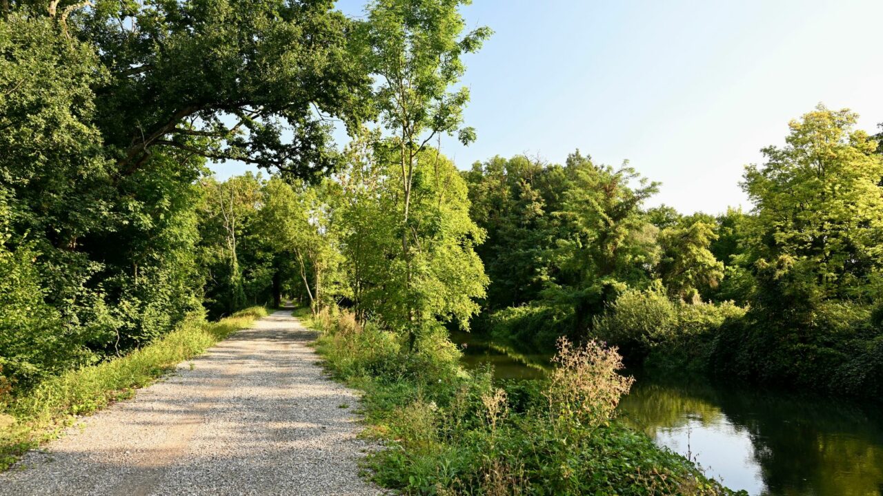 CanalRhinrhone2