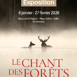 Exposition Le Chant des Forêts
