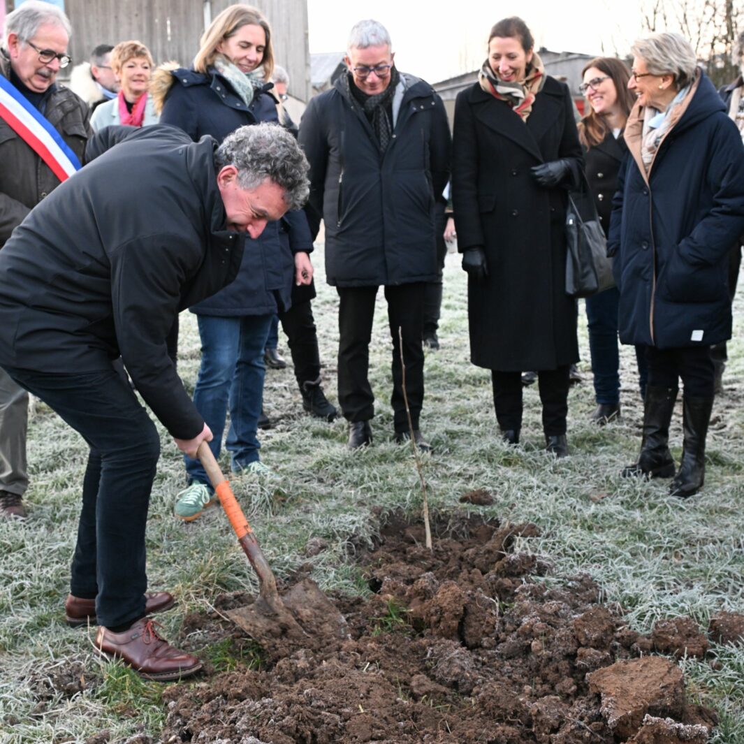 Des haies pour préparer demain