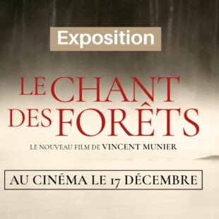 Plongez au cœur des forêts sauvages avec Vincent Munier