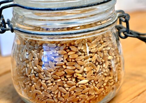Investissement pour la performance des exploitations agricoles en Grand Est (IPAGE) : transformation et commercialisation