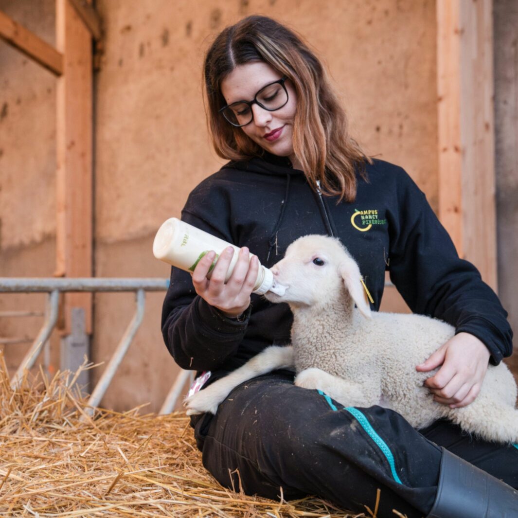 Des métiers qui cultivent l&rsquo;avenir