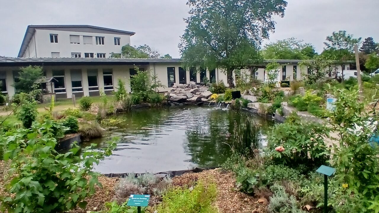 Laëticia Bertrand - Lycée et nature