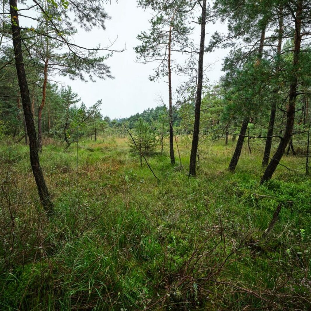La Région Grand Est soutient le site Natura 2000 à Anould