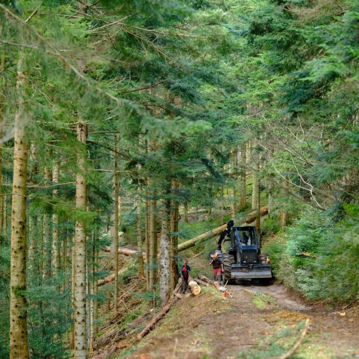 La Région Grand Est et l&rsquo;Europe investissent pour renforcer la filière bois dans les Vosges