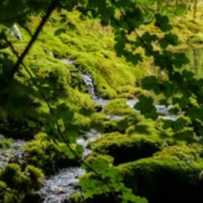 La Région Grand Est s’engage pour la qualité de l’eau potable