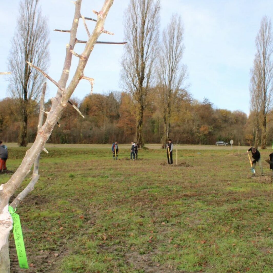 Un chantier pédagogique à Nettancourt