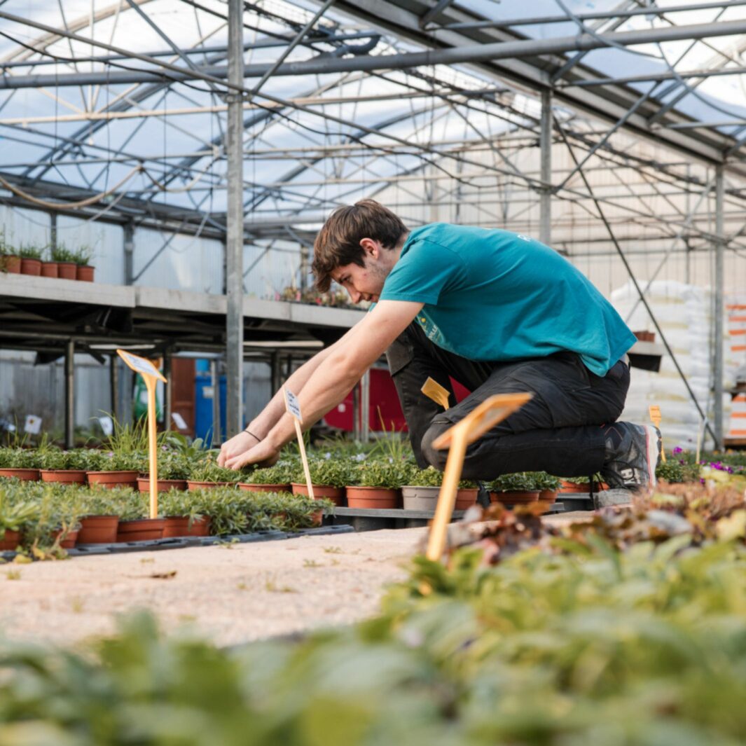 Enseignement agricole : préparer les métiers de demain