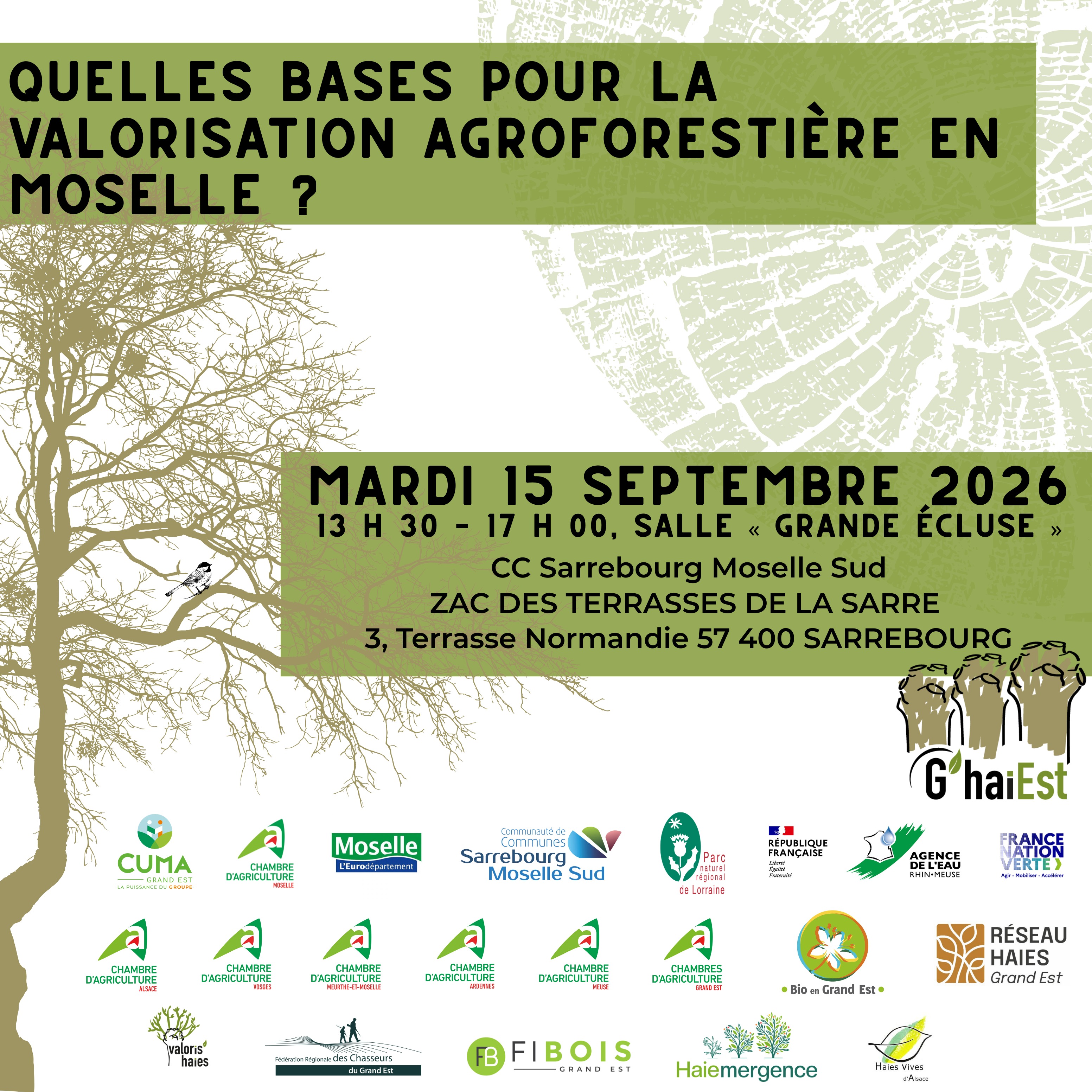Quelles bases pour la valorisation agroforestière en Moselle ?