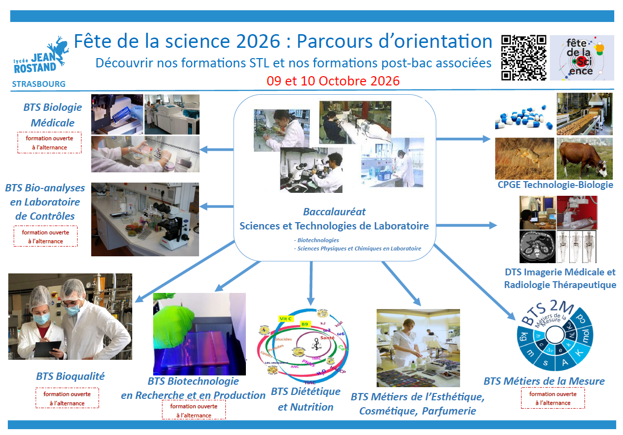 Parcours d’orientation au lycée Jean Rostand
