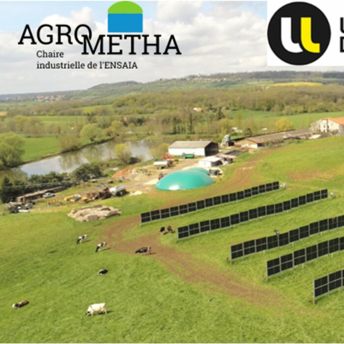 Elevage et production d’énergie verte : intérêts et limites